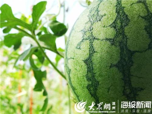 五一官网吃瓜,揭秘热门事件背后的真相 第1张 五一官网吃瓜,揭秘热门事件背后的真相 第1张